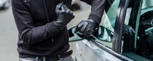 auto theft and fraud